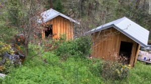 Photo: CNN Cummins and Elizabeth stayed in one of these cabins in Cecilville, California, this week, the property's caretaker told CNN affiliate KOBI.